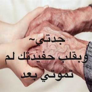 Meet your Posher, Dina